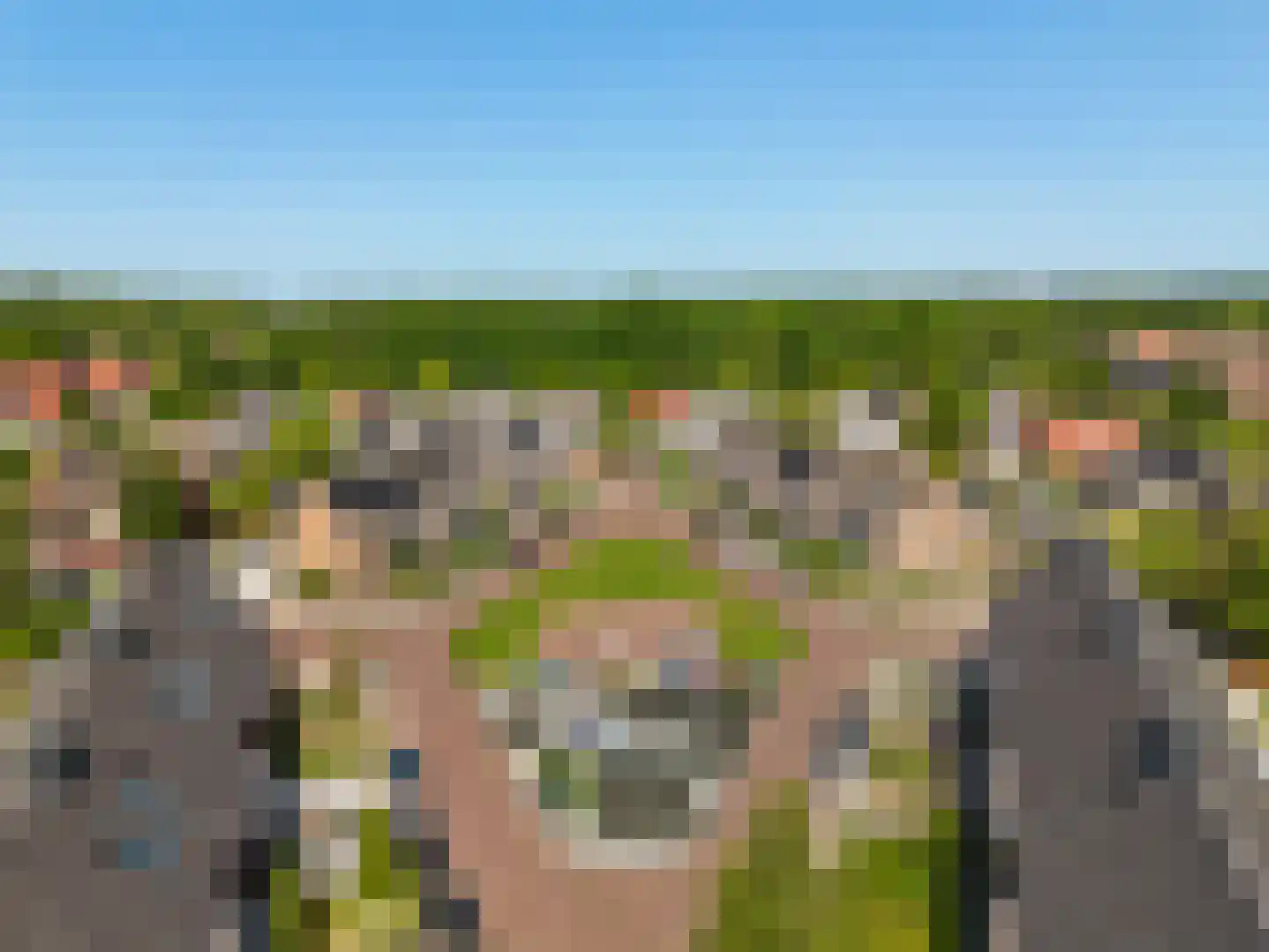 de Horst 5 Tollebeek thumbnail 35
