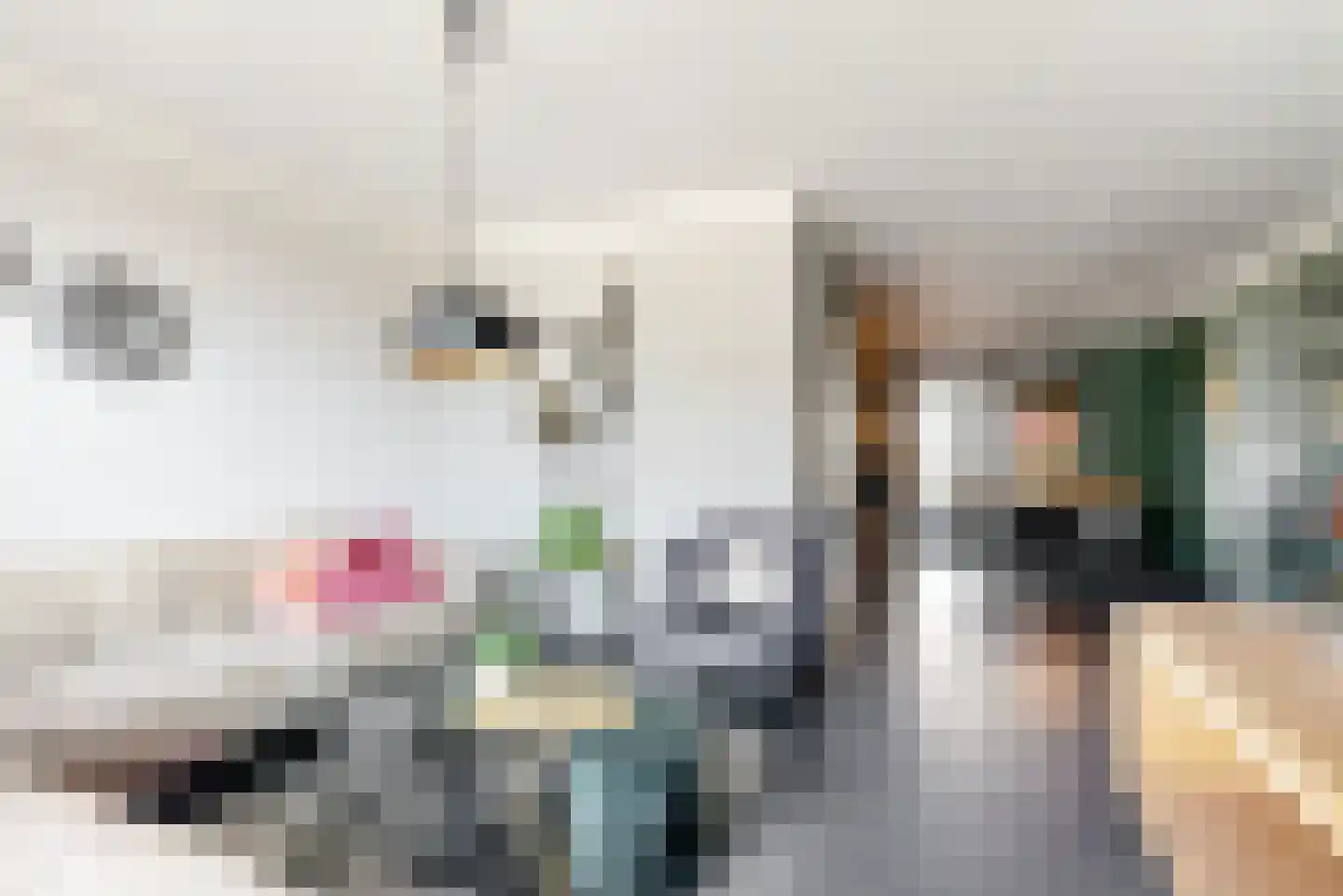de Horst 5 Tollebeek thumbnail 6