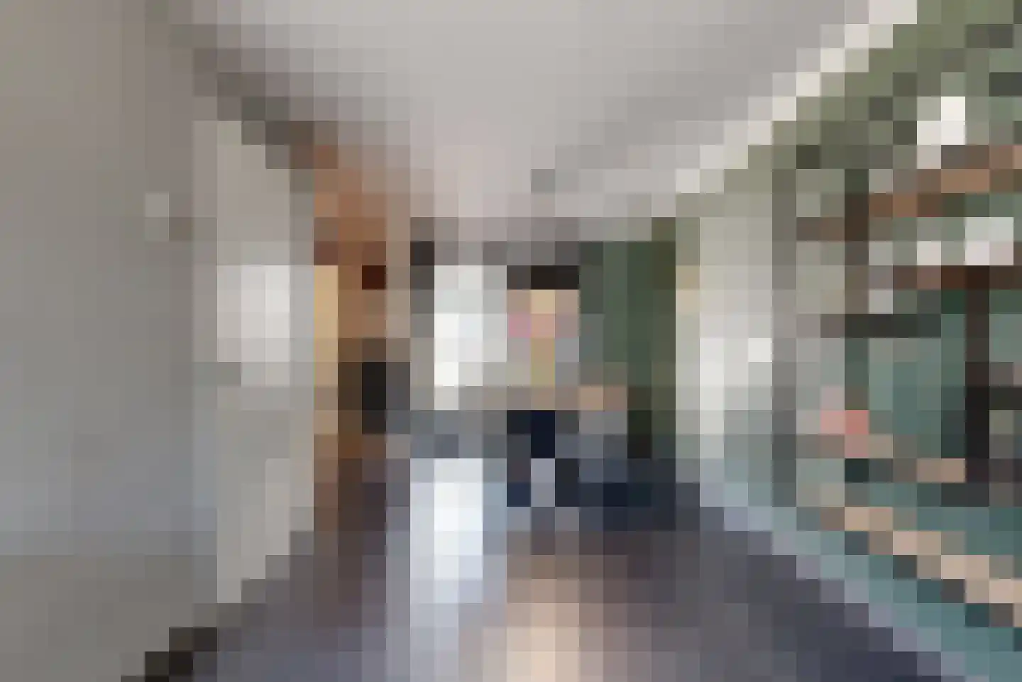 de Horst 5 Tollebeek thumbnail 7