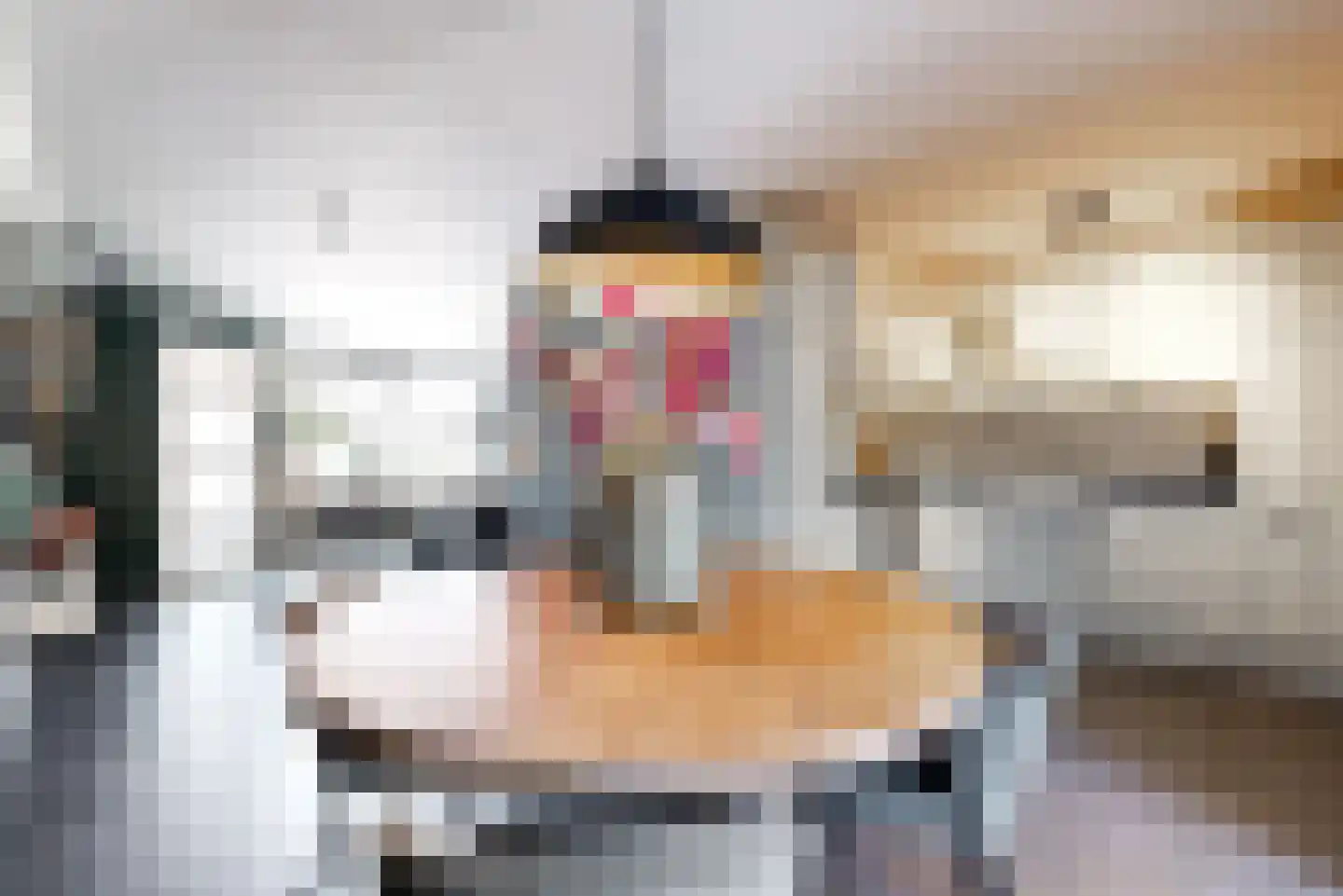 de Horst 5 Tollebeek thumbnail 8