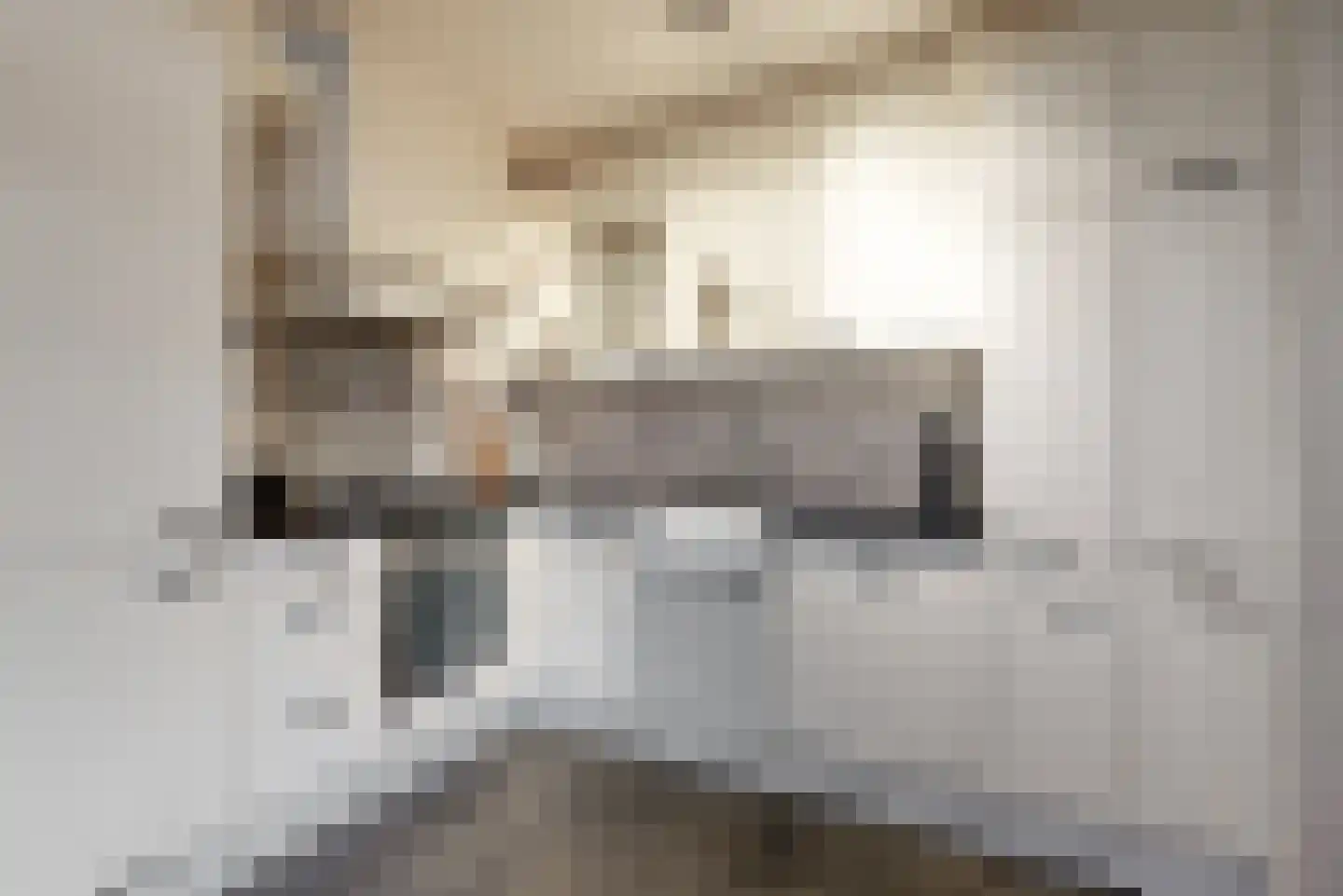 de Horst 5 Tollebeek thumbnail 9