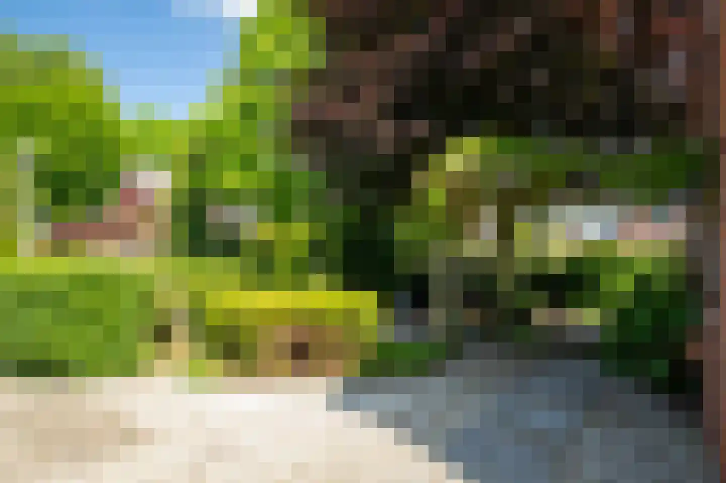 De Horst 54 Hasselt thumbnail 10