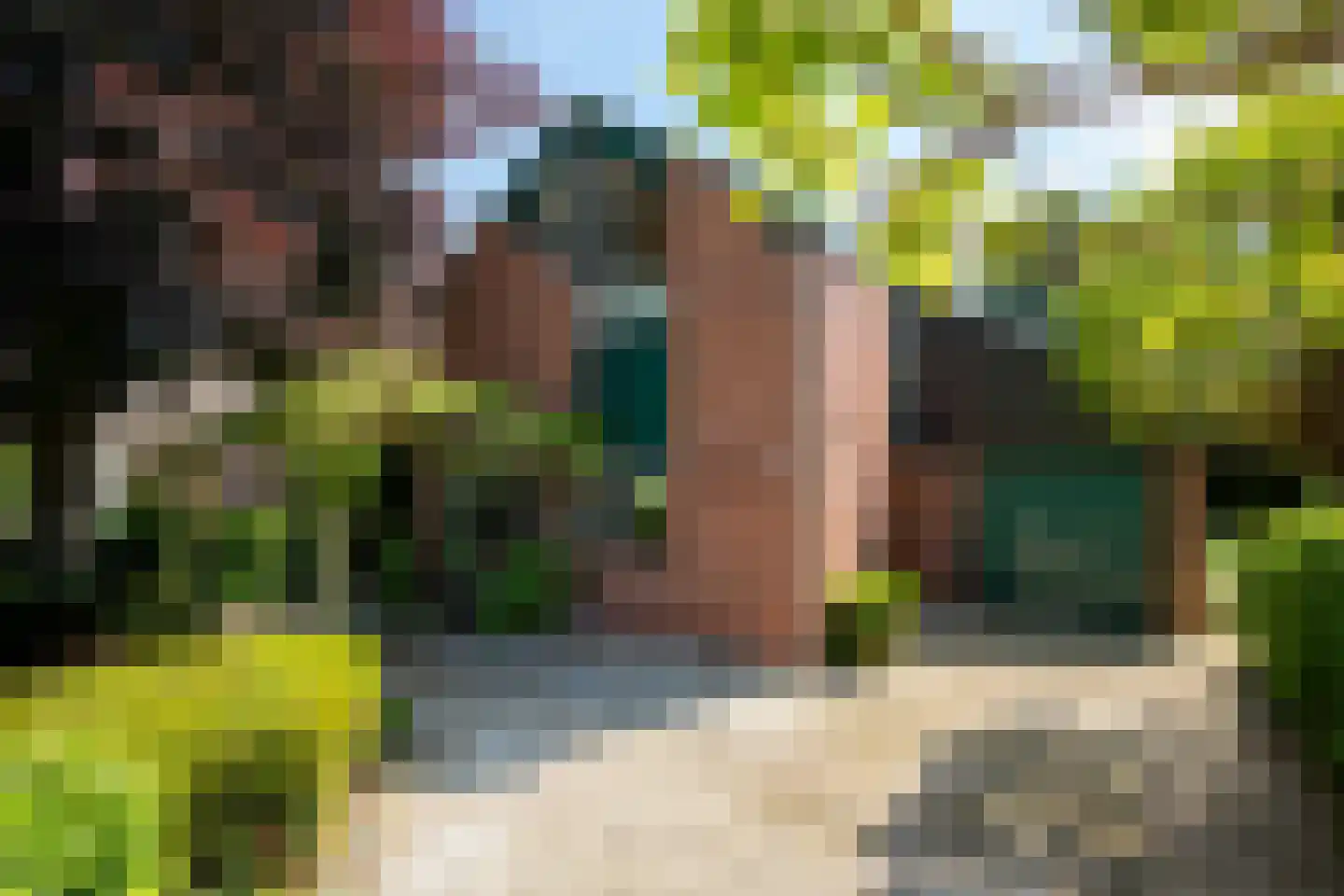 De Horst 54 Hasselt thumbnail 12