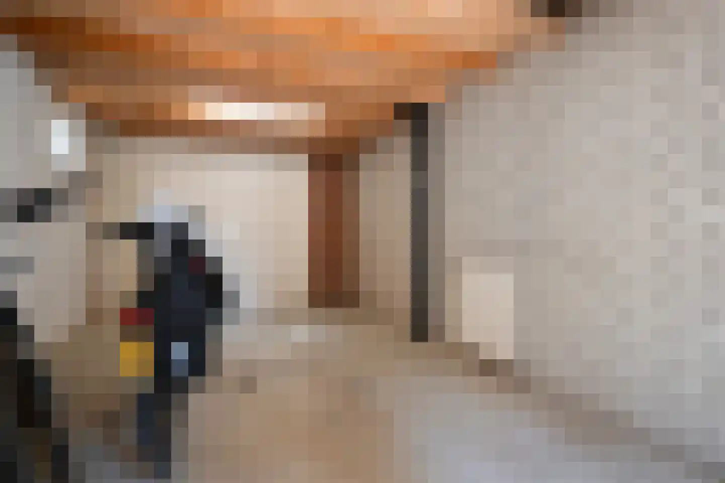 De Horst 54 Hasselt thumbnail 25