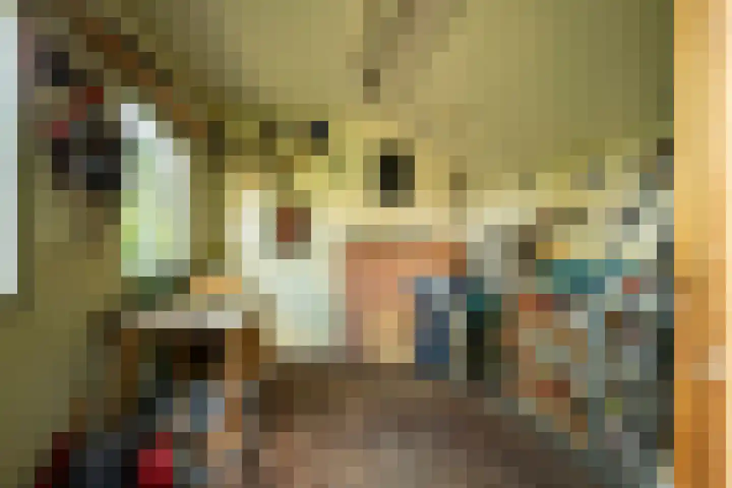 De Horst 54 Hasselt thumbnail 32