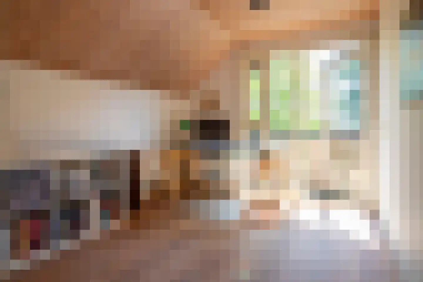 De Horst 54 Hasselt thumbnail 41