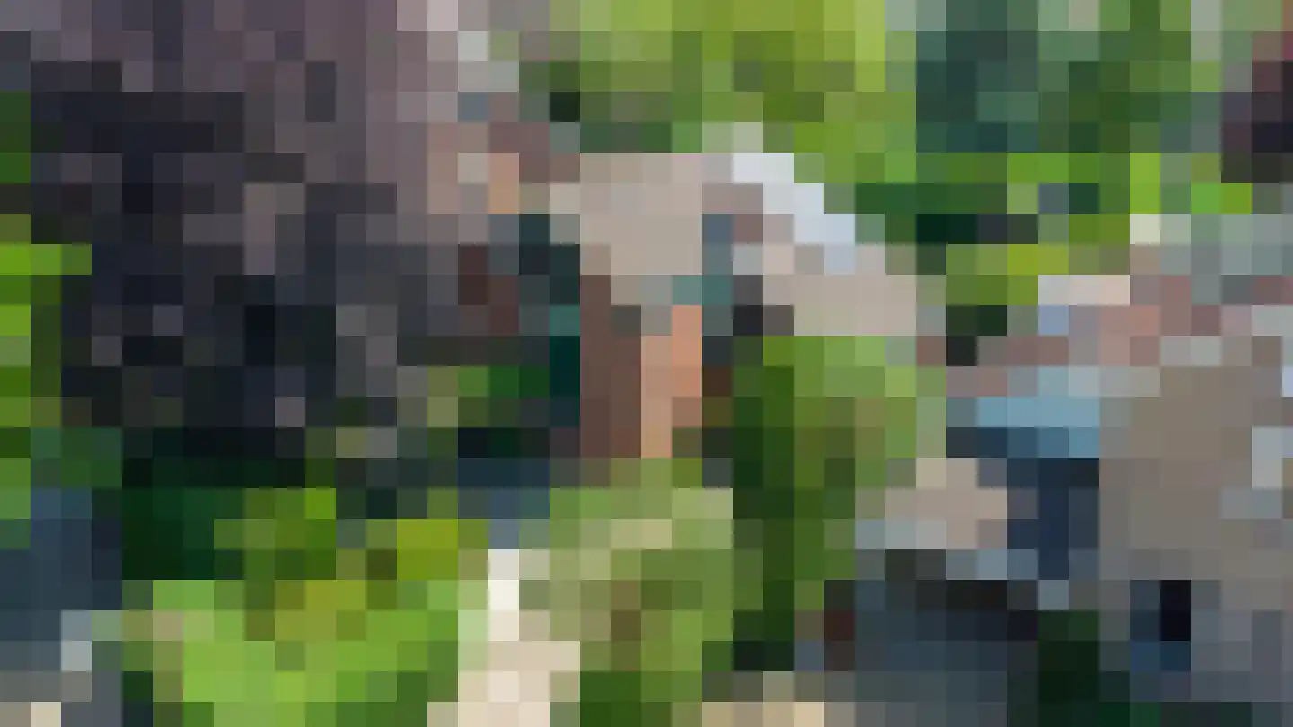 De Horst 54 Hasselt thumbnail 6