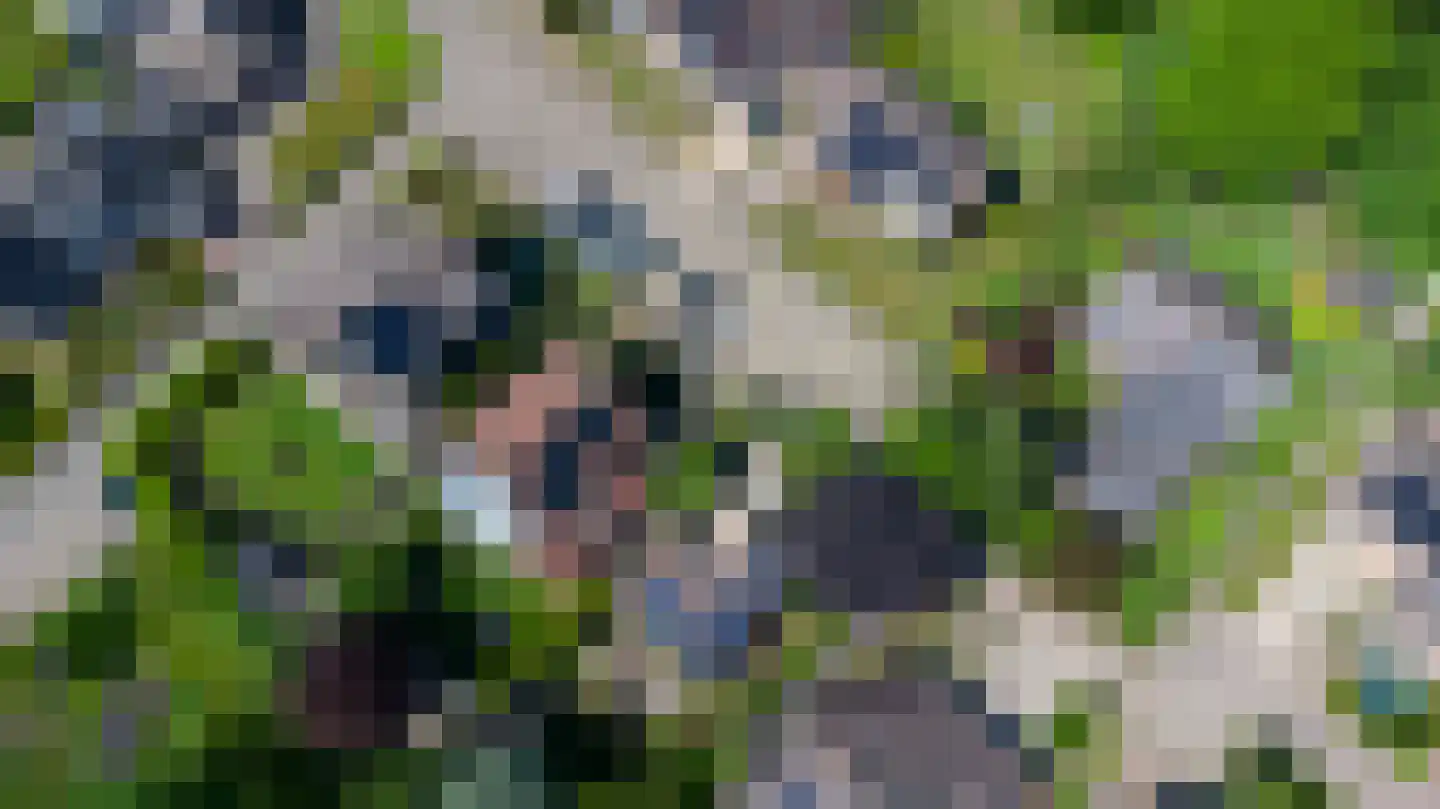 De Horst 54 Hasselt thumbnail 8