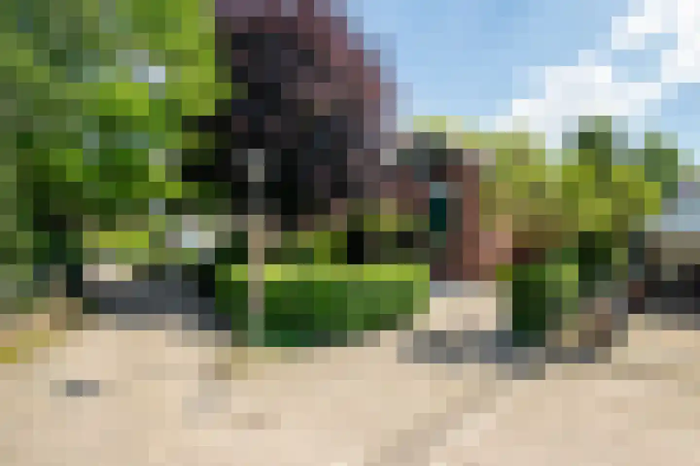 De Horst 54 Hasselt thumbnail 9