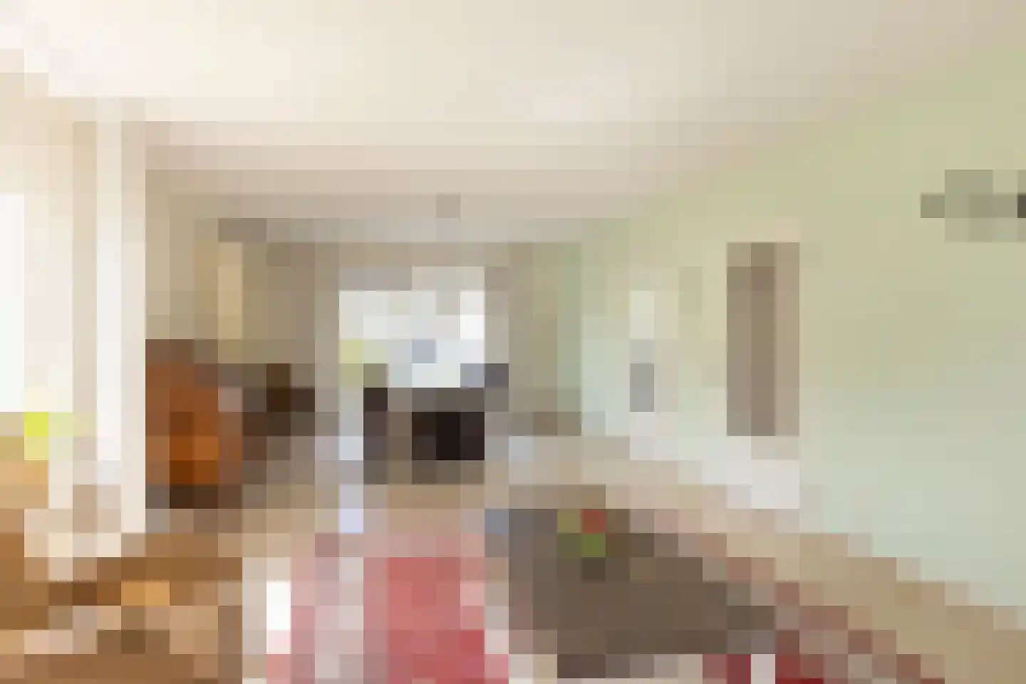 De Horst 6 Groenlo thumbnail 4