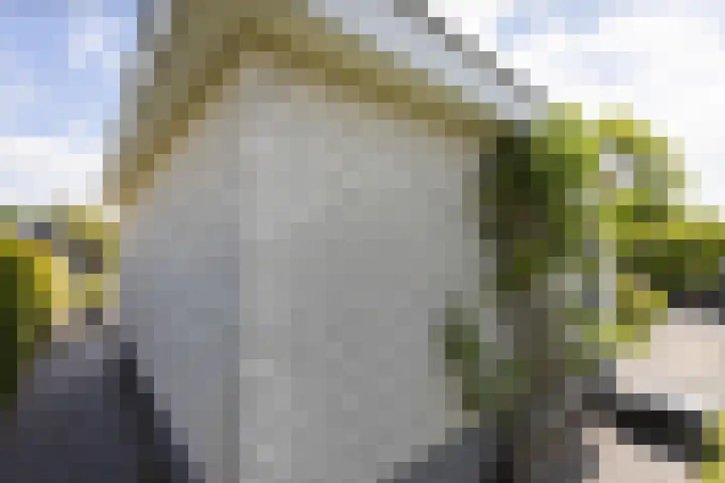 De Horst 6 Groenlo thumbnail 41