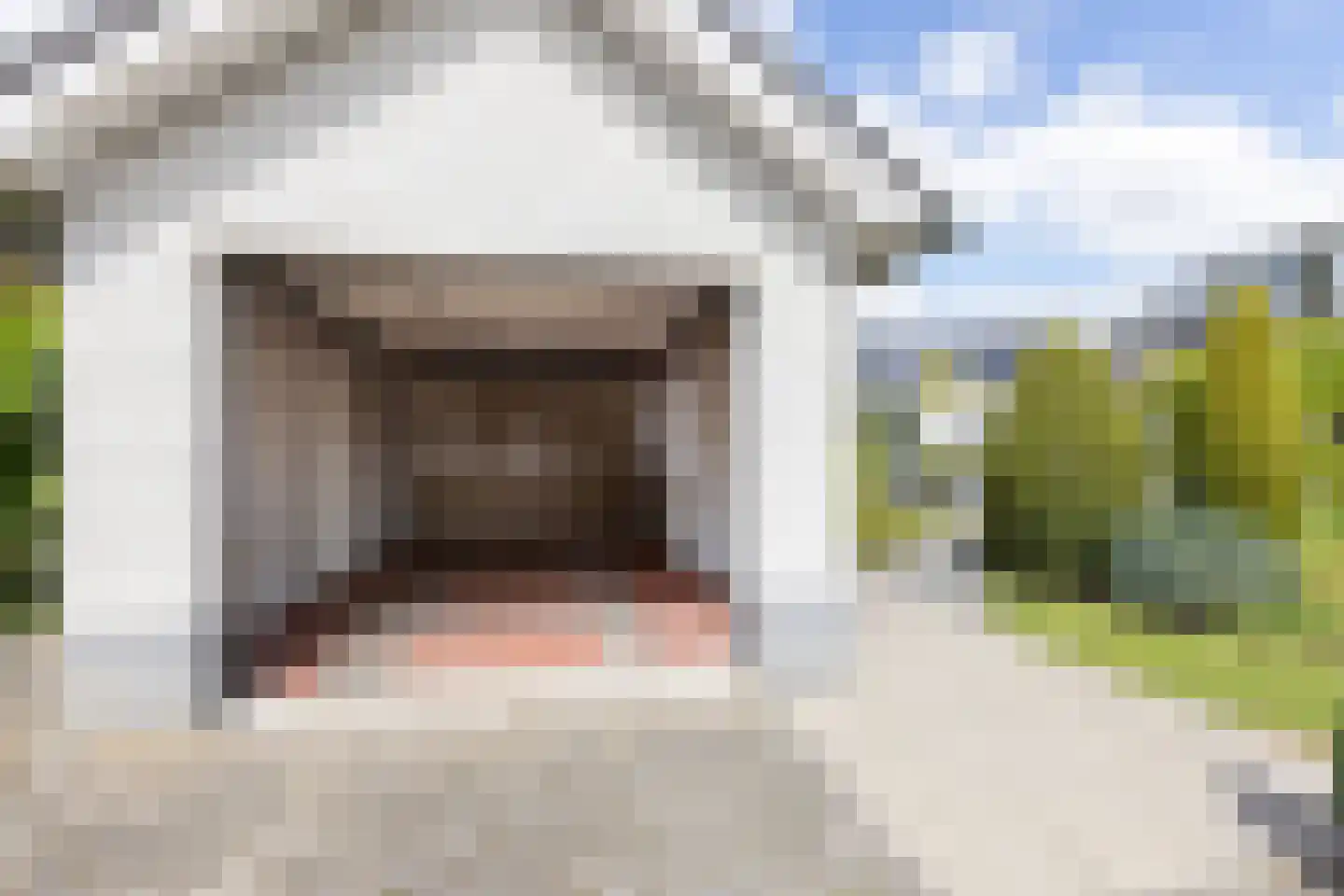 De Horst 6 Groenlo thumbnail 45