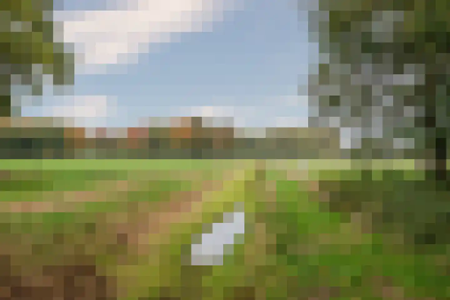 De Horst 6 Someren thumbnail 21