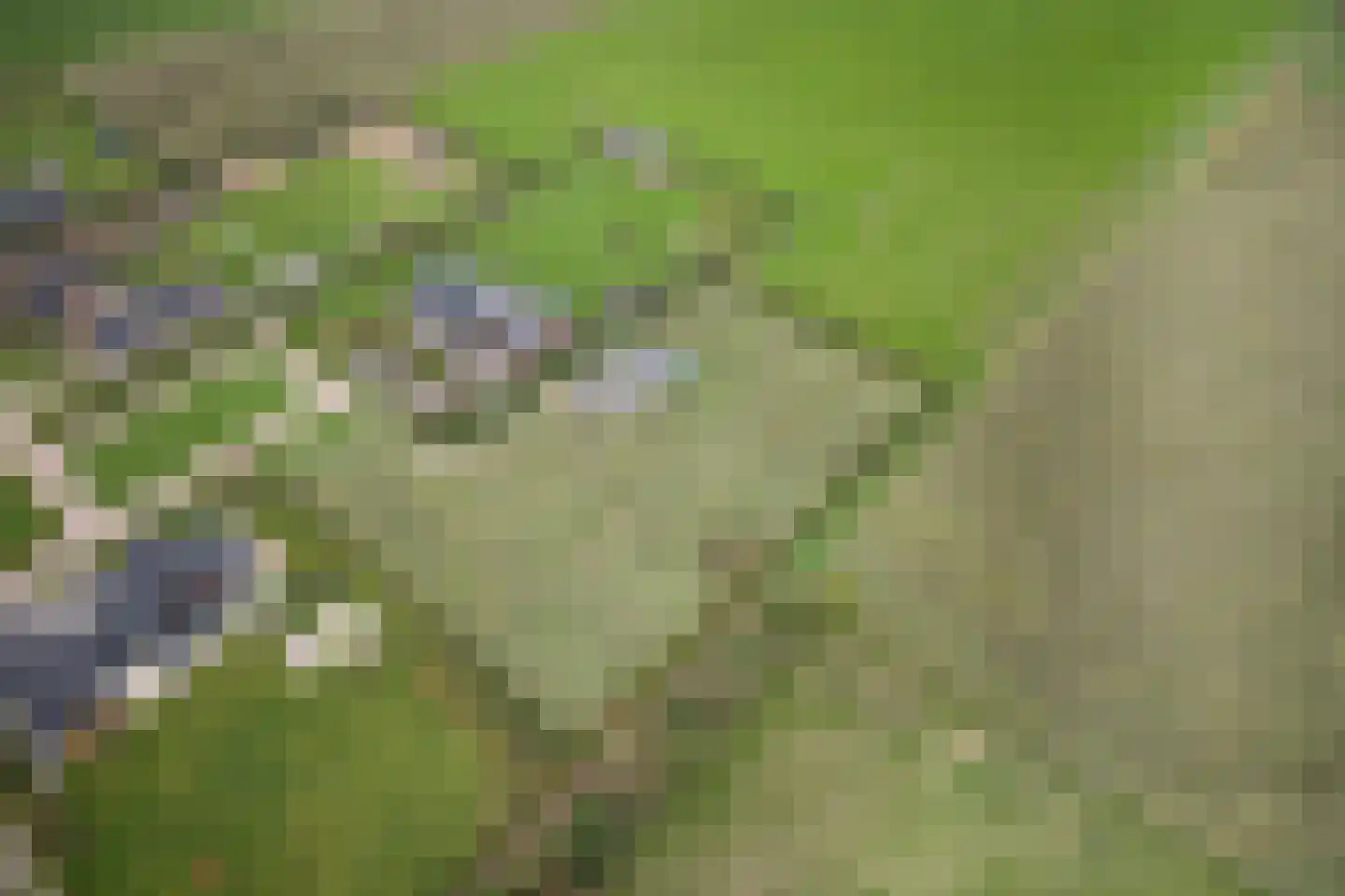 De Horst 6 Someren thumbnail 23