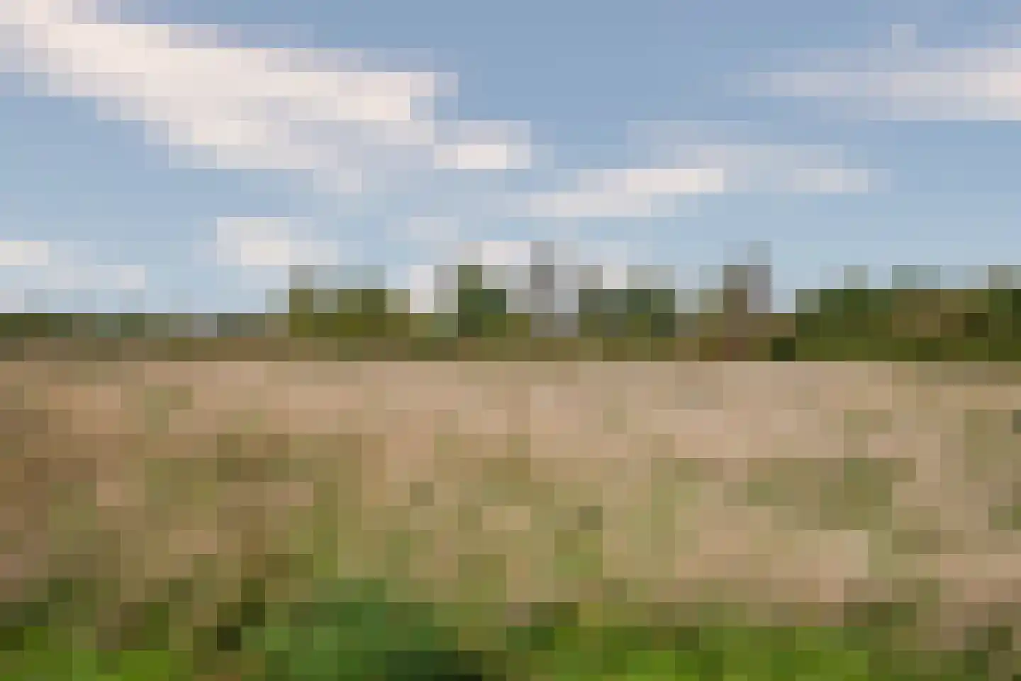 De Horst 6 Someren thumbnail 5