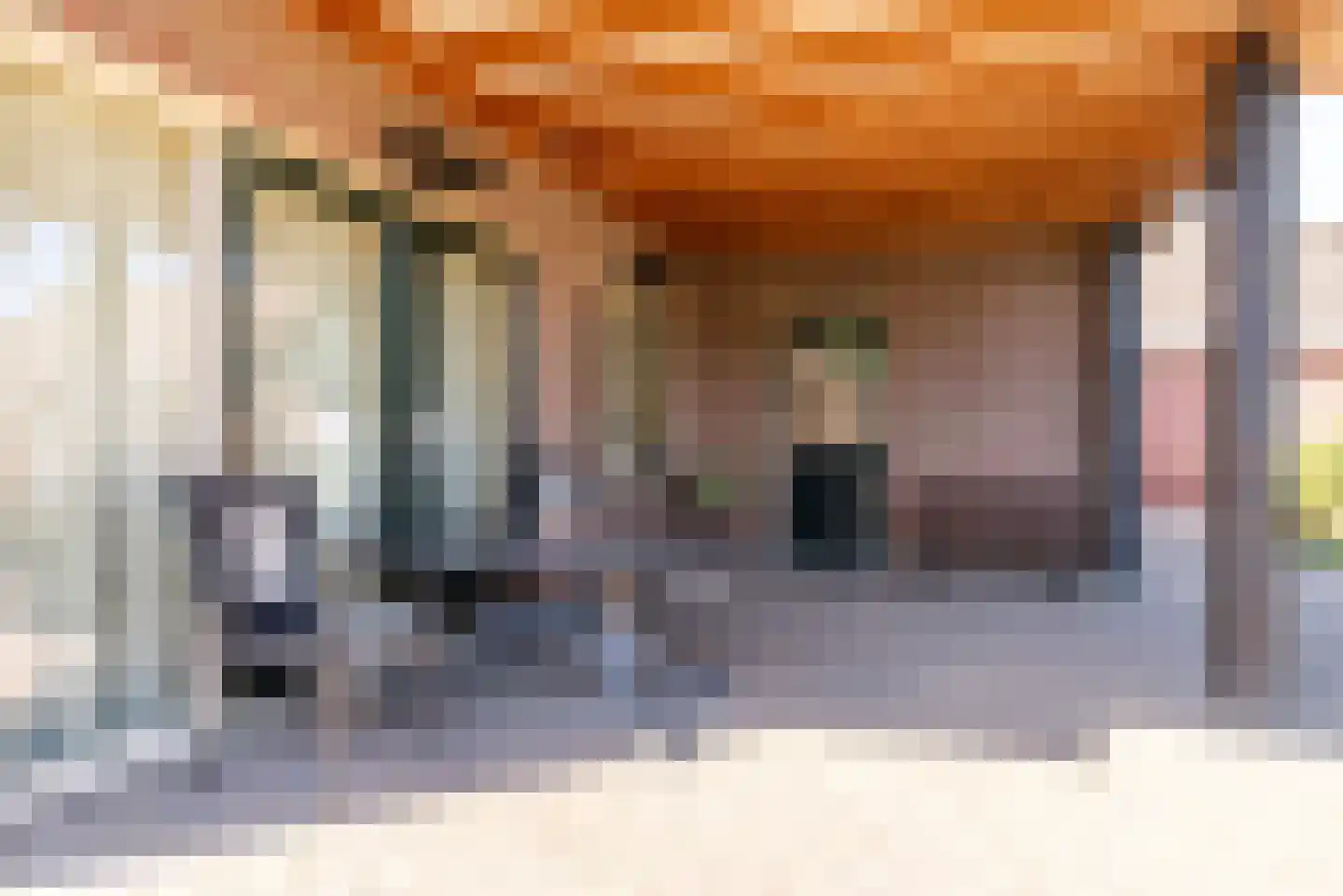 De Horst 65 Rhenen thumbnail 56