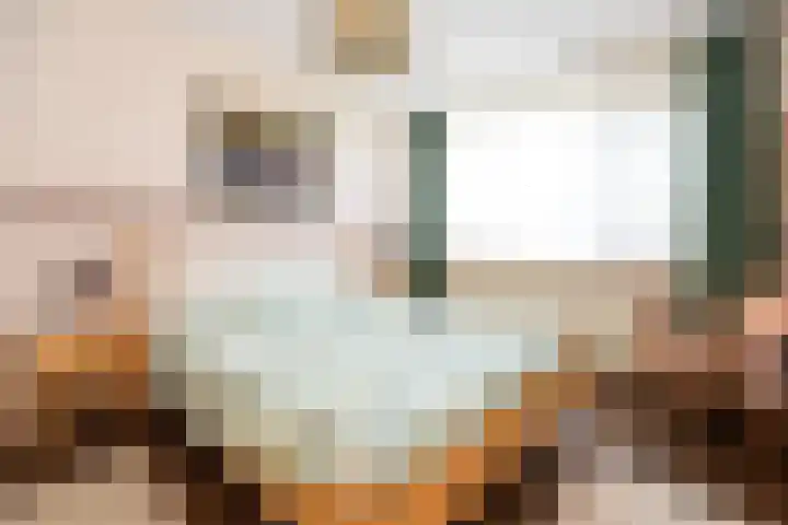 De Horst 8 Sliedrecht thumbnail 13
