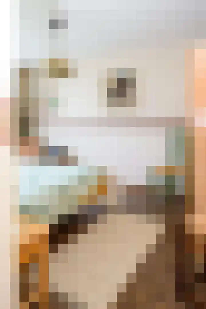 De Horst 8 Sliedrecht thumbnail 14