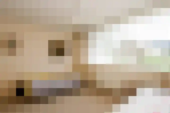 De Horst 8 Sliedrecht thumbnail 15