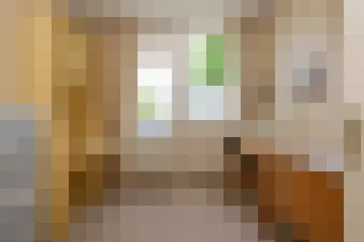 De Horst 8 Sliedrecht thumbnail 16