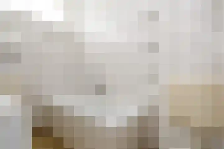 De Horst 8 Sliedrecht thumbnail 17