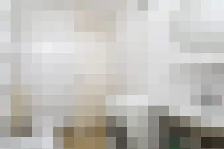 De Horst 8 Sliedrecht thumbnail 18