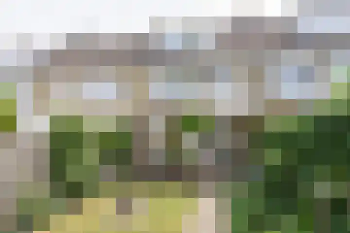 De Horst 8 Sliedrecht thumbnail 22