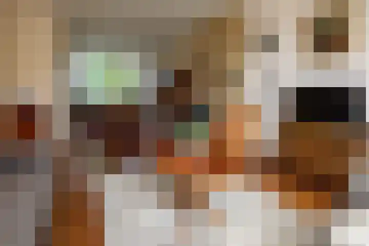 De Horst 8 Sliedrecht thumbnail 6