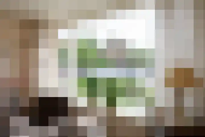 De Horst 8 Sliedrecht thumbnail 7