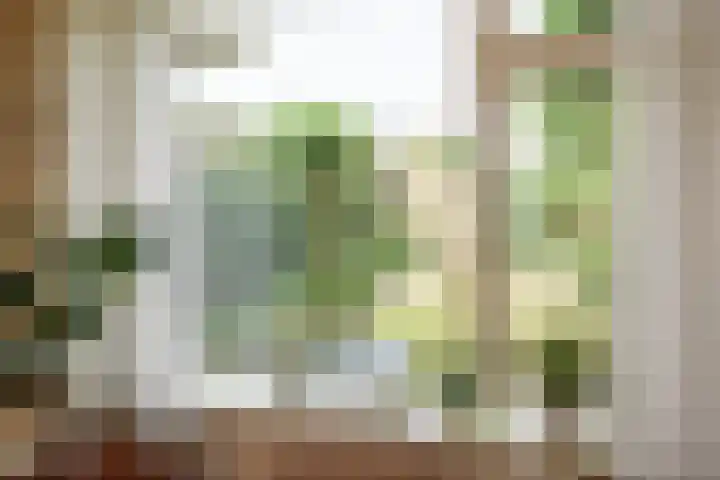 De Horst 8 Sliedrecht thumbnail 9