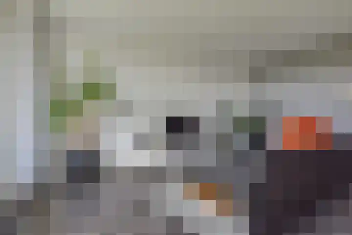 De Horsten 32 Bleiswijk thumbnail 10