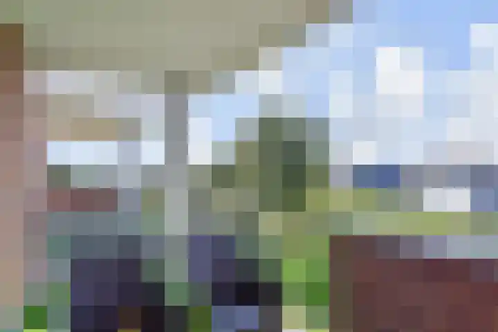 De Horsten 32 Bleiswijk thumbnail 19