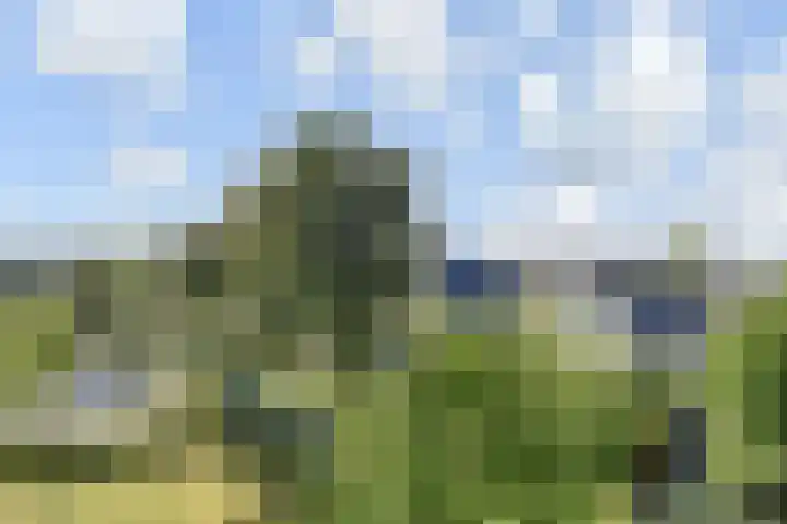 De Horsten 32 Bleiswijk thumbnail 20