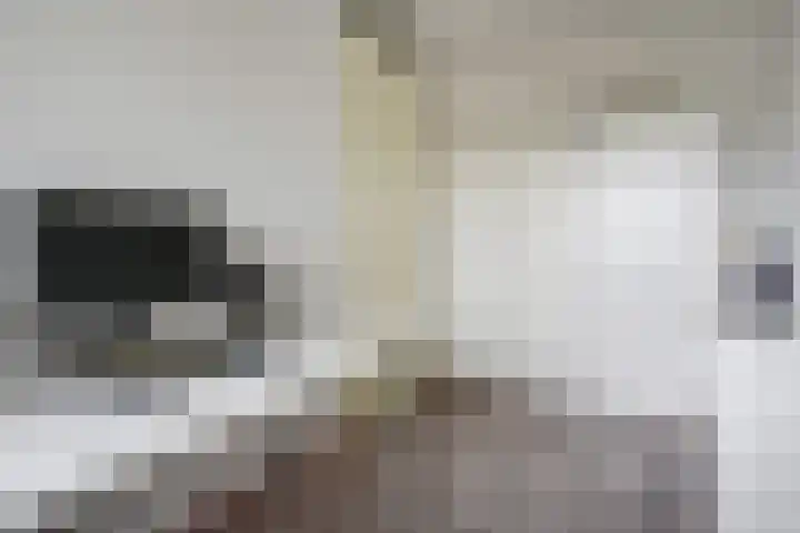 De Horsten 32 Bleiswijk thumbnail 25