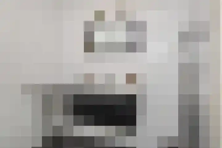 De Horsten 32 Bleiswijk thumbnail 27