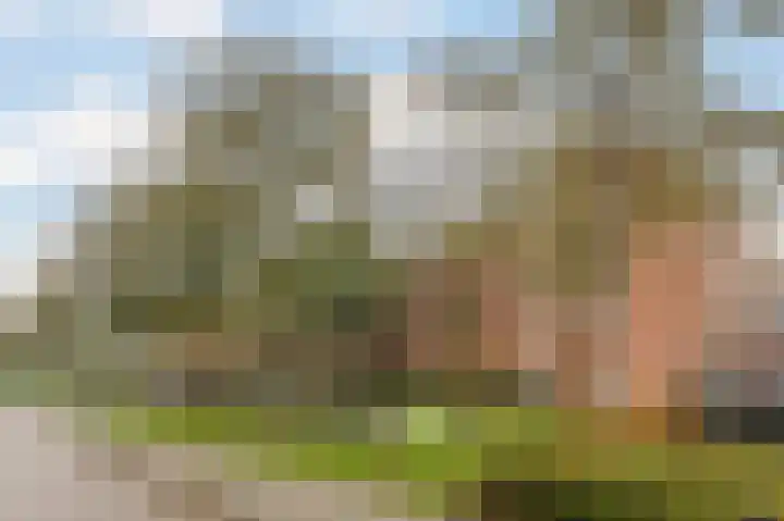 De Horsten 52 Bleiswijk thumbnail 29