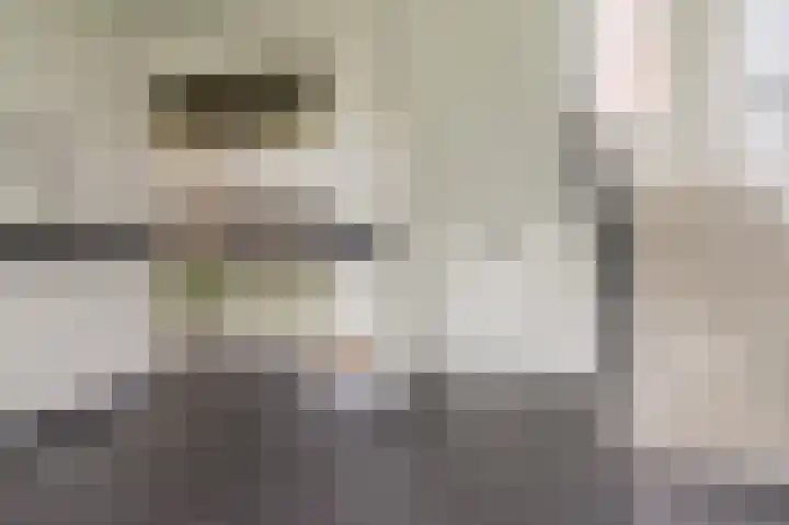 De Horsten 52 Bleiswijk thumbnail 4