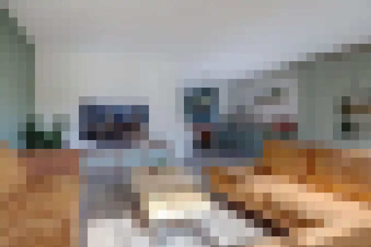 De Horsten 70 Bleiswijk thumbnail 15