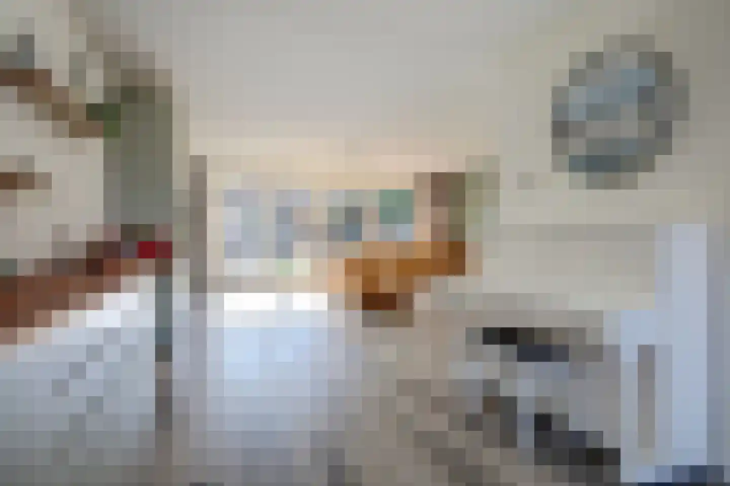 De Horsten 70 Bleiswijk thumbnail 17