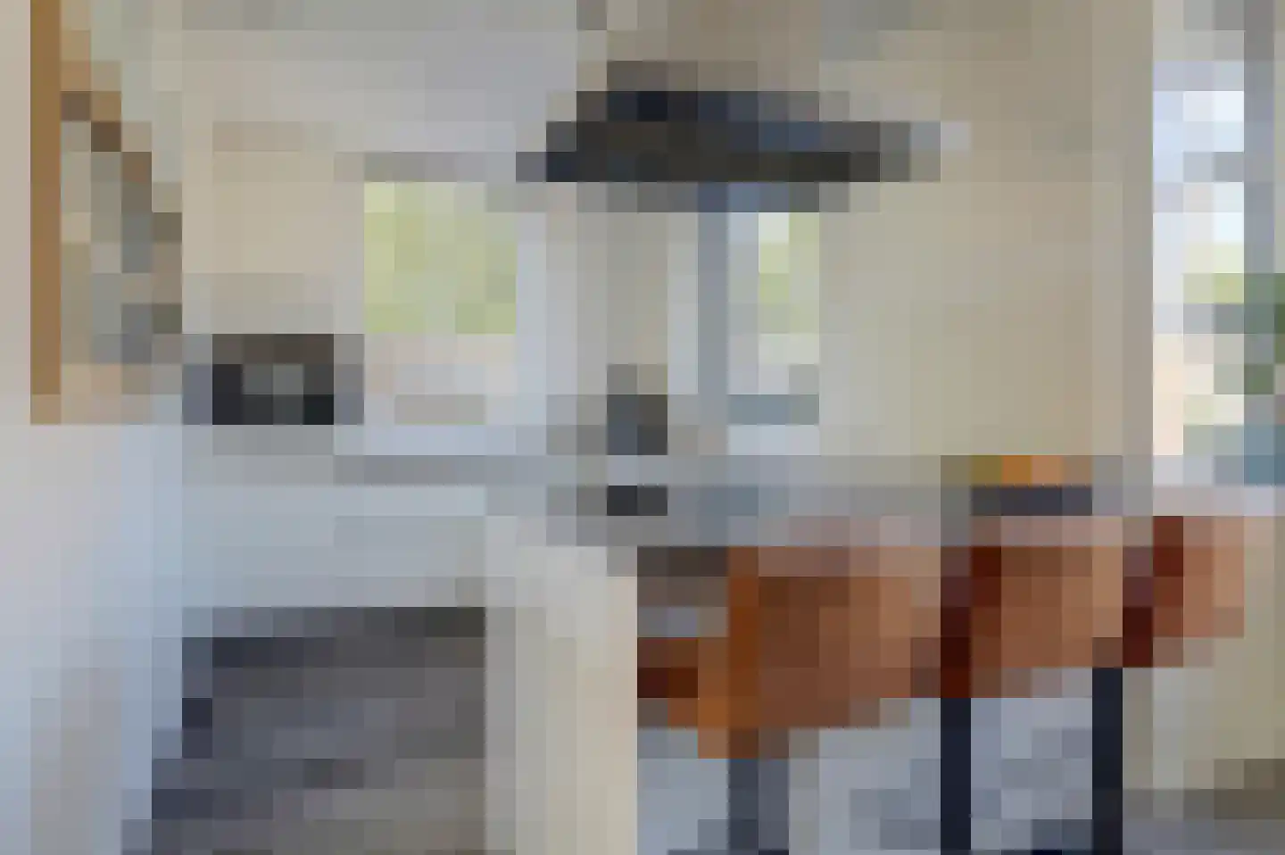 De Horsten 70 Bleiswijk thumbnail 20