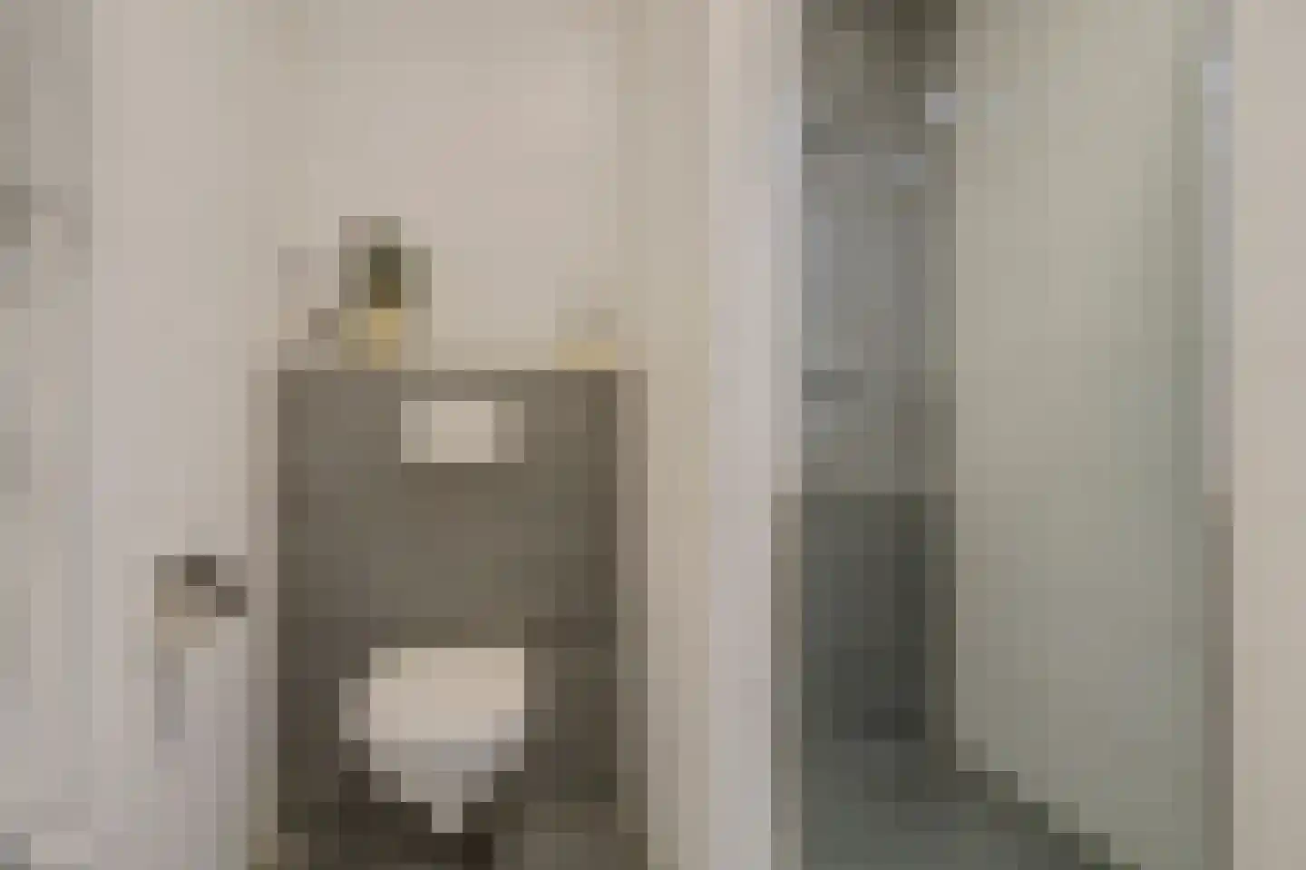 De Horsten 70 Bleiswijk thumbnail 34
