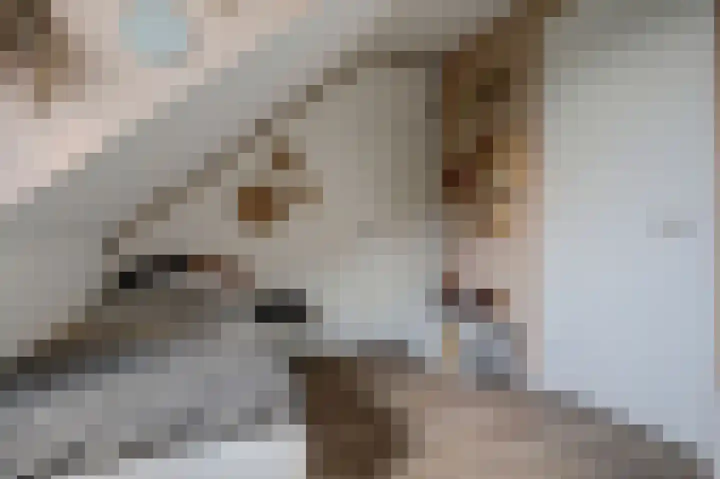 De Horsten 70 Bleiswijk thumbnail 38
