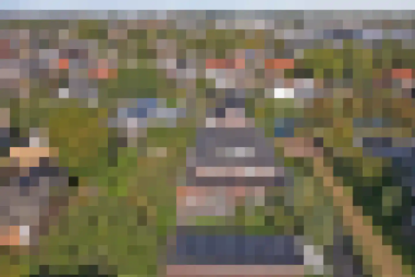 De Horsten 70 Bleiswijk thumbnail 52