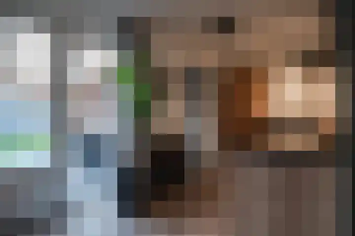 De Horsten 9 Ruinerwold thumbnail 13