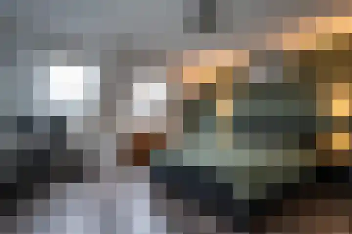 De Horsten 9 Ruinerwold thumbnail 17