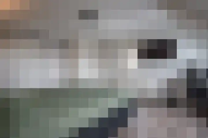 De Horsten 9 Ruinerwold thumbnail 18