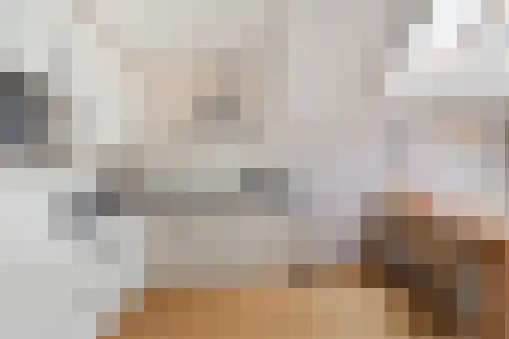 De Horsten 9 Ruinerwold thumbnail 21
