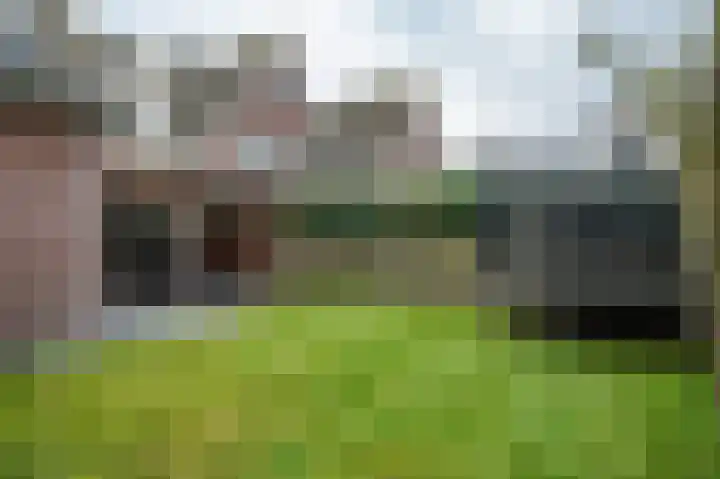 De Horsten 9 Ruinerwold thumbnail 31