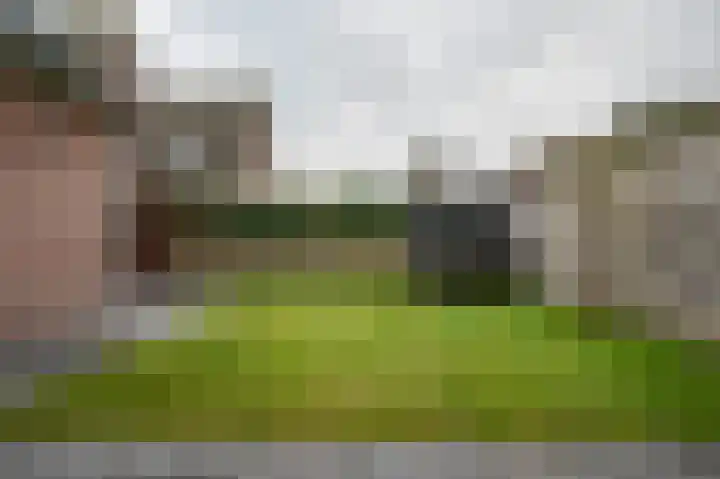 De Horsten 9 Ruinerwold thumbnail 34