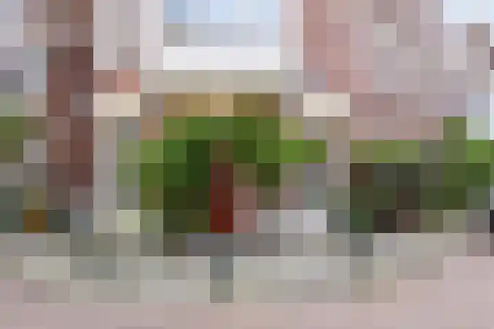 De Horsten 9 Ruinerwold thumbnail 5